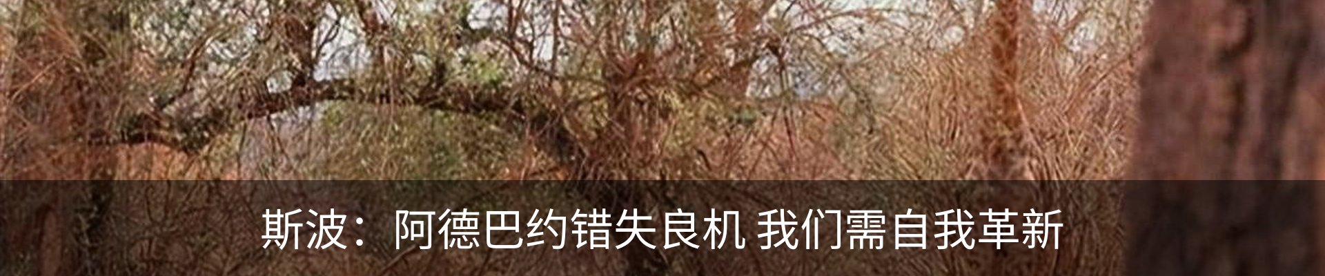 资讯动态